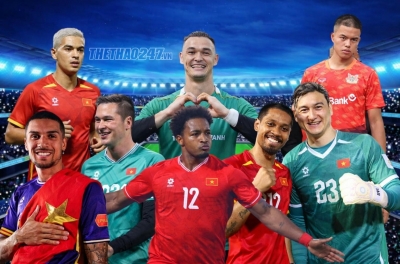 Malaysian media cautious about Vietnam's naturalized star players