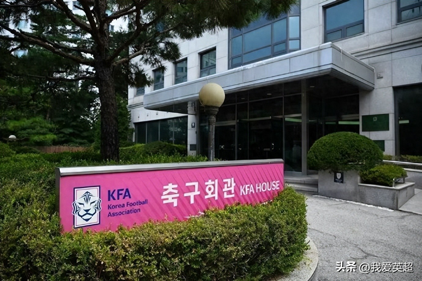 South Korea allegedly provided sexual entertainment to three Chinese Football Association officials! Paid 4,300 yuan, investigation report revealed.