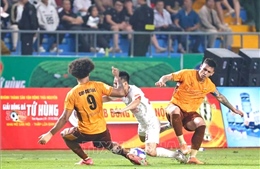 Round 17 V-League: When HAGL Faces Ninh Bình Under Coach Vũ Tiến Thành