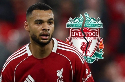 Liverpool Targets Premier League Sensation Cody Gakpo Replacement