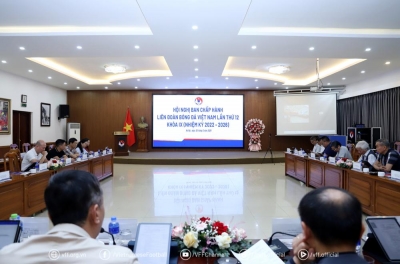 VFF outlines crucial plans for a series of Vietnamese national teams