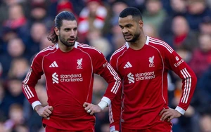 Liverpool dropped victory in the final minute, missing the chance to close in on the top four.