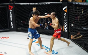 Vietnam Sports and the Olympic Top 50: Potential from 'Emerging Sports'