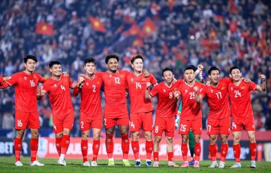 Vietnam's 3-0 win over Malaysia has not yet been officially recognized by FIFA.